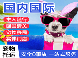 珠海莲洲机场快递国际宠物托运 【国